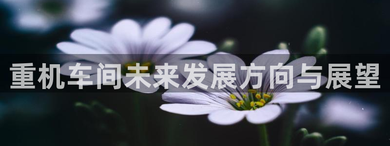 天宏娱乐自然大叔