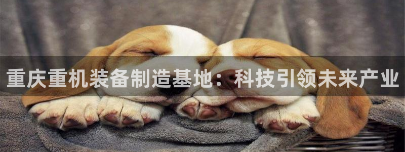 天宏娱乐实f力803466