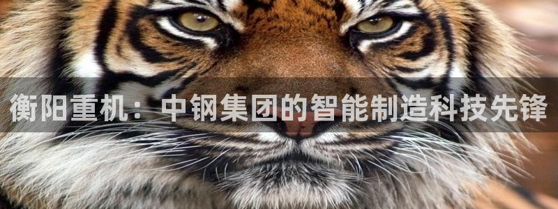 天宏娱乐app下载