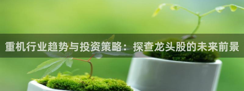 天宏娱乐小号怎么玩视频