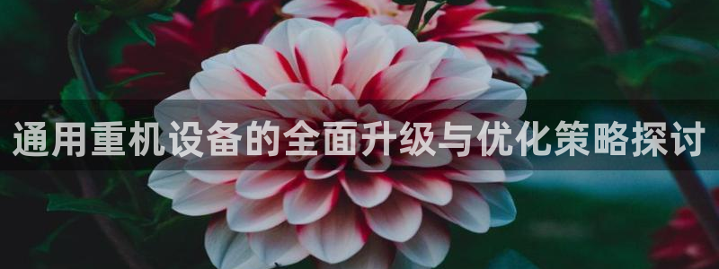 天宏娱乐的王叔