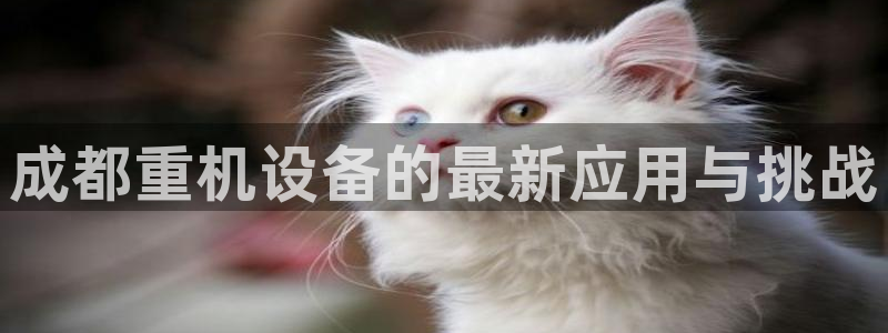 天宏娱乐登录网址