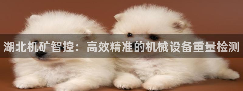 天宏娱乐团购活动