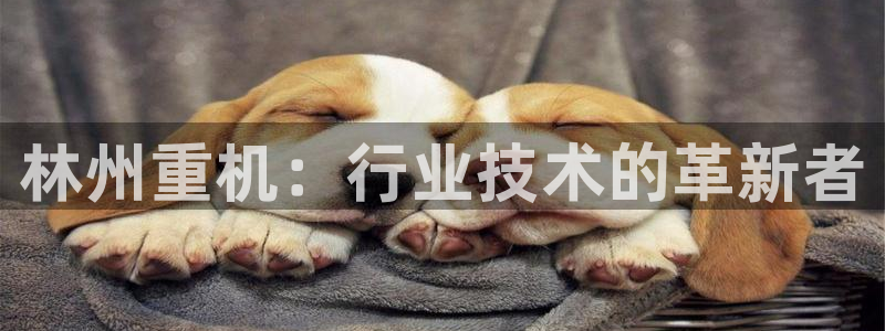 天宏娱乐l 判官