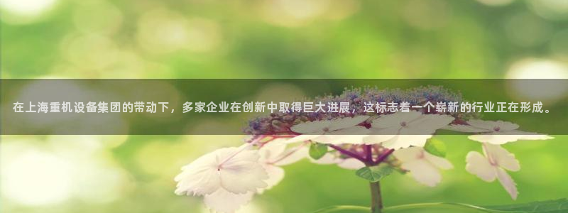 天亿娱乐宏发团队成员