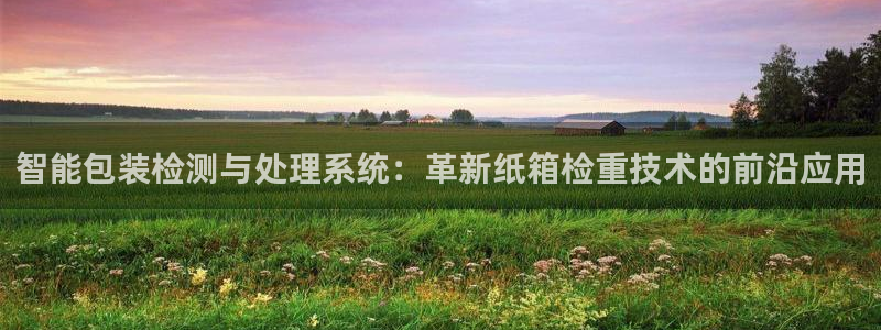 天宏娱乐抖音团播：智能包装检测与处理系统：革新纸箱检重技术的