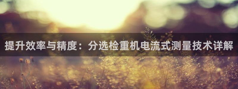 天宏娱乐老男孩吴叔：提升效率与精度：分选检重机电流式测量技术