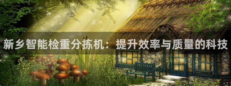 天宏娱乐首页：新乡智能检重分拣机：提升效率与质量的科技