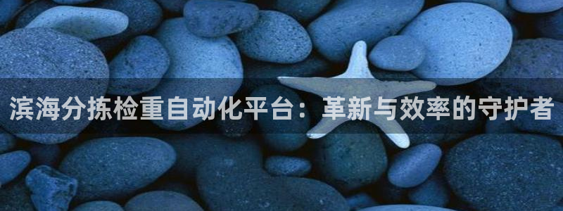 天跃娱乐天宏娱乐：滨海分拣检重自动化平台：革新与效率的守护者