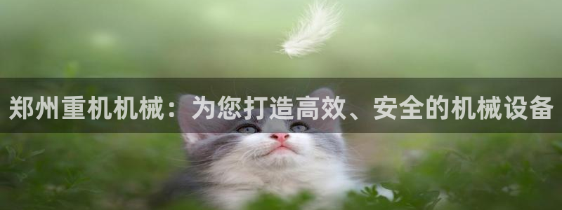 天宏娱乐q31.661：郑州重机机械：为您打造高效、安全的机