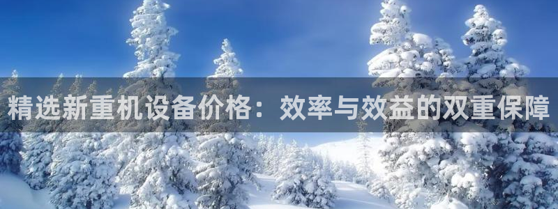 天宏娱乐创始人：精选新重机设备价格：效率与效益的双重保障