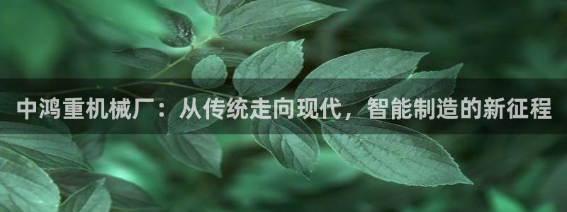 天宏娱乐a 判官：中鸿重机械厂：从传统走向现代，智能制造的新