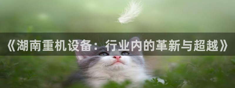 天宏娱乐二台：《湖南重机设备：行业内的革新与超越》