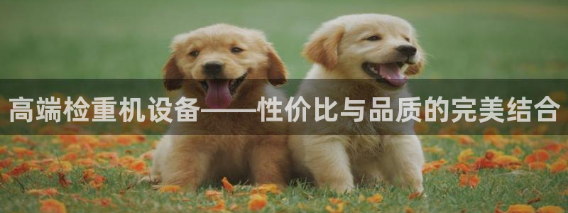 天宏娱乐a OO判官