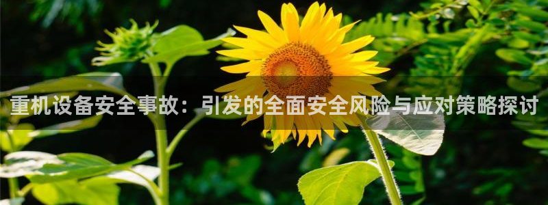 天宏娱乐家：重机设备安全事故：引发的全面安全风险与应对策略探