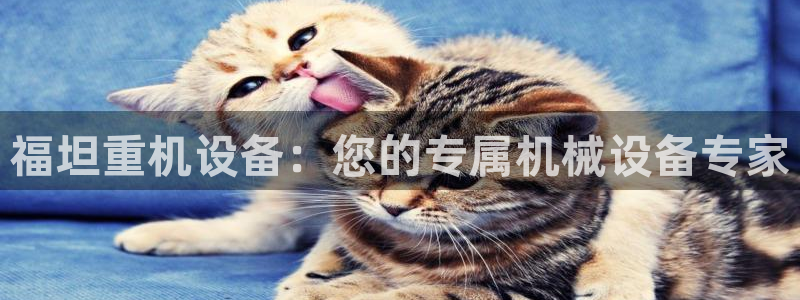 天宏娱乐e 判官：福坦重机设备：您的专属机械设备专家
