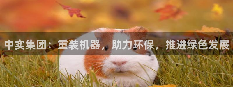 天玺娱乐彩票宏利团队