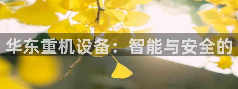 天宏娱乐会所地址：华东重机设备：智能与安全的