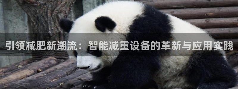 天宏娱乐君叔：引领减肥新潮流：智能减重设备的革新与应用实践