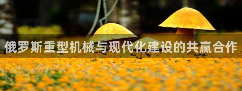 天宏娱乐直播在线观看免费