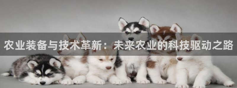 天宏娱乐创始人：农业装备与技术革新：未来农业的科技驱动之路