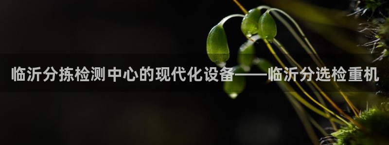 天跃娱乐天宏娱乐