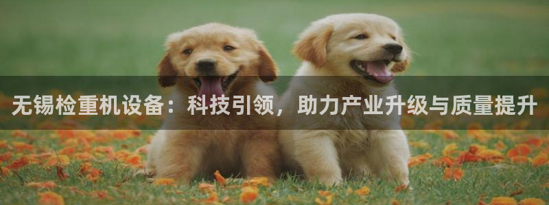 天宏娱乐会所电话：无锡检重机设备：科技引领，助力产业升级与质