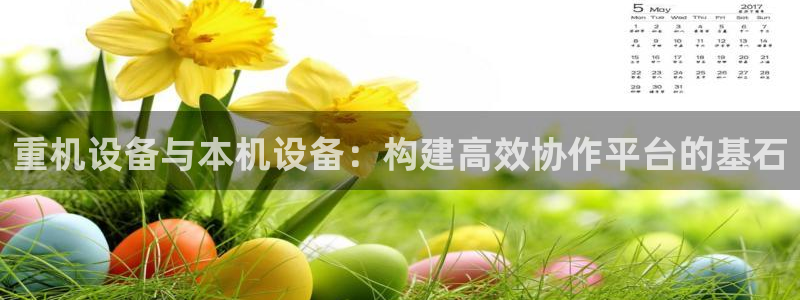 天宏娱乐i 判官：重机设备与本机设备：构建高效协作平台的基石