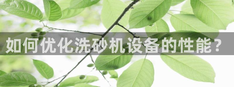 天宏娱乐无限团