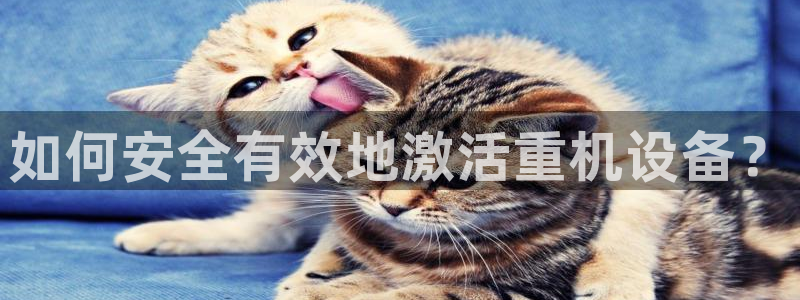 天宏娱乐韩叔视频