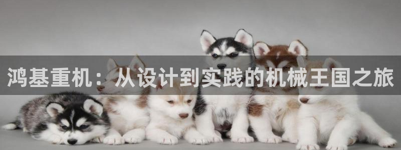 天宏娱乐 老板
