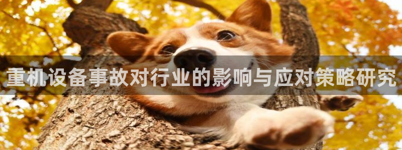 天宏娱乐会所地址