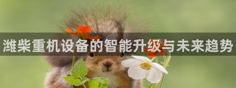 天宏娱乐季叔